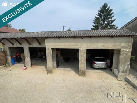 photo no. 13