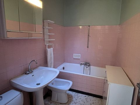 photo no. 6