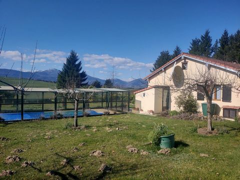 photo no. 2