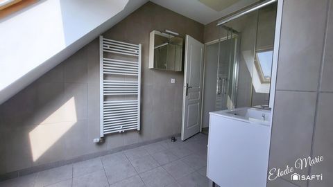 photo no. 12