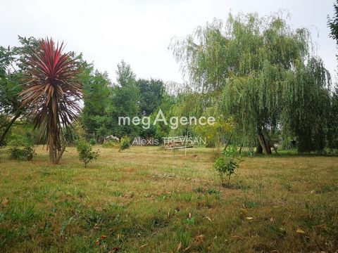 photo no. 11