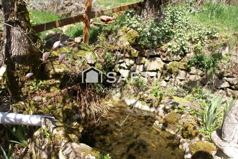 photo no. 15