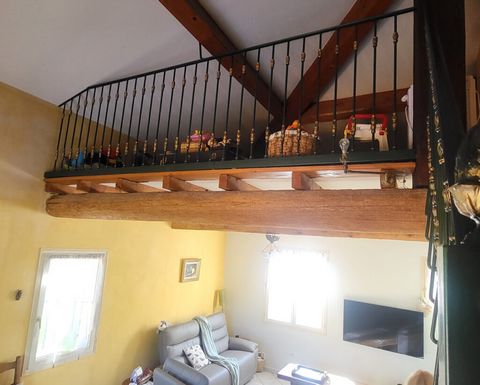 photo no. 16