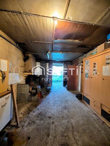 photo no. 13