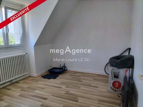 photo no. 11