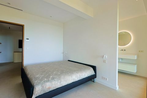 photo no. 18
