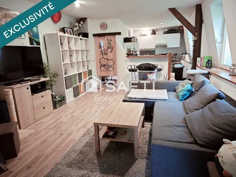 Appartement 2 pièces au cœur de Sarrebourg