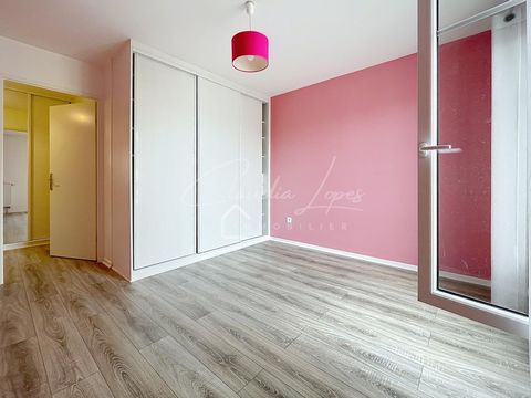 photo no. 11