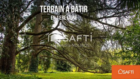 Terrain 1ere Ligne