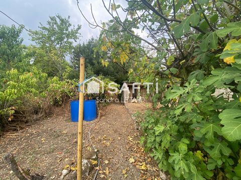 photo no. 13