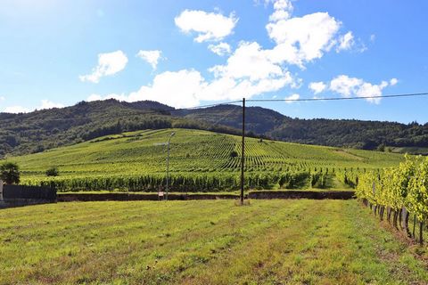 Terrain - 2067m ²