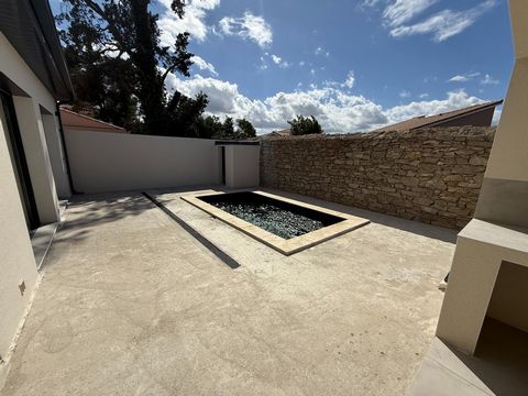 photo no. 11
