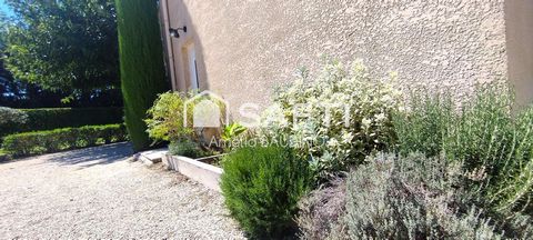 photo no. 11
