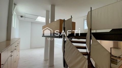photo no. 9