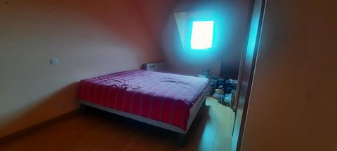 photo no. 6