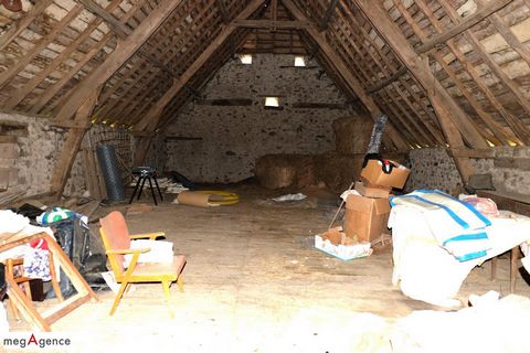 photo no. 19
