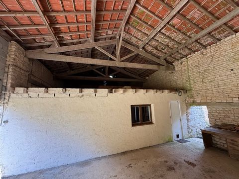 photo no. 15