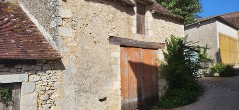 photo no. 4