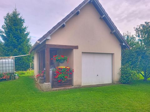 photo no. 12