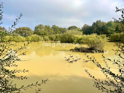 photo no. 14