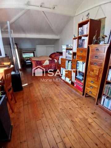 photo no. 10