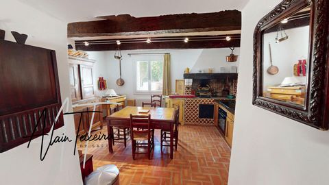 photo no. 6