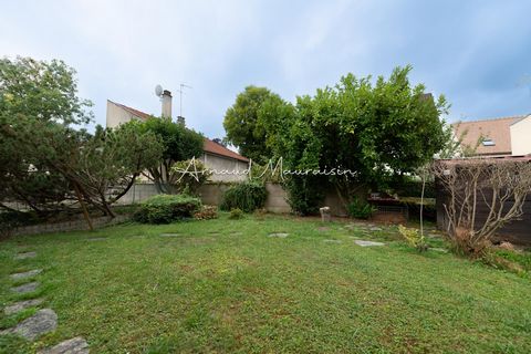 photo no. 10