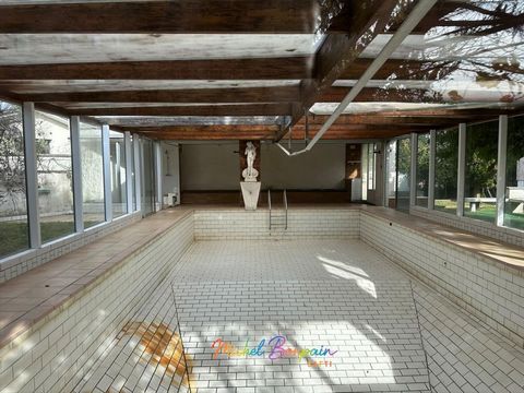 photo no. 7