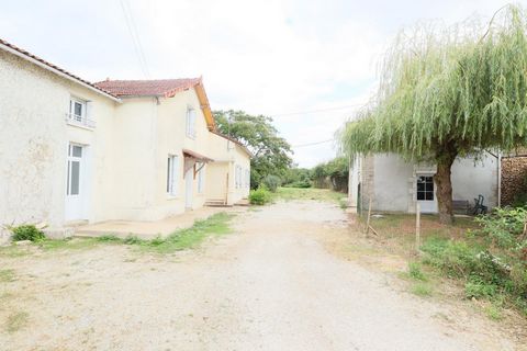 photo no. 17