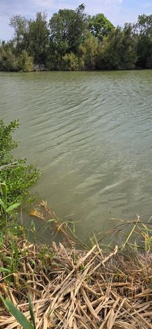 photo no. 3