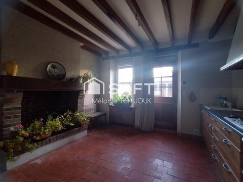 photo no. 11