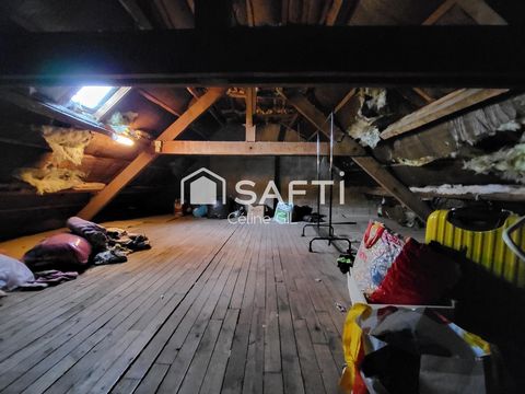 photo no. 11