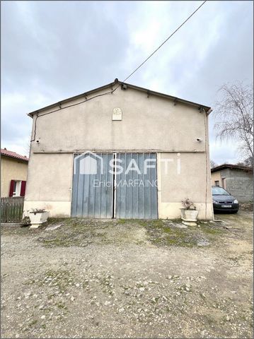 photo no. 5