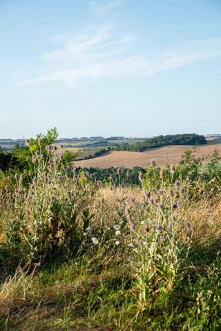 photo no. 13