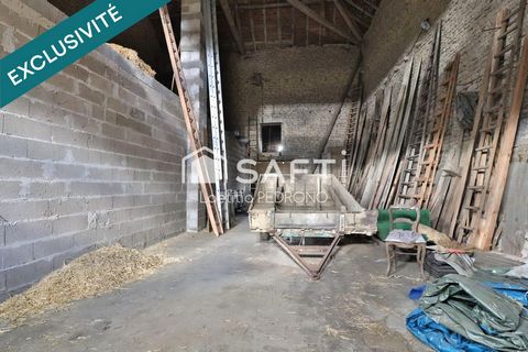 photo no. 10