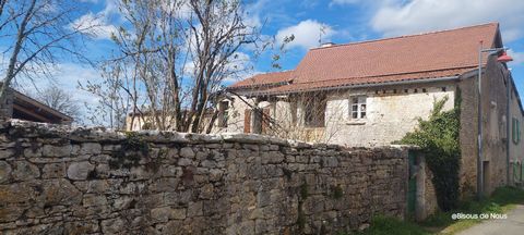 photo no. 6