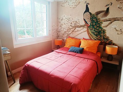 photo no. 12