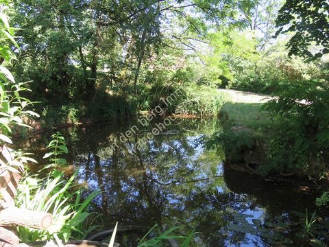 photo no. 10
