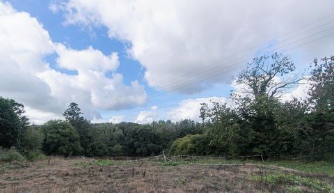 photo no. 2