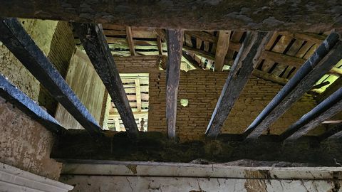 photo no. 13