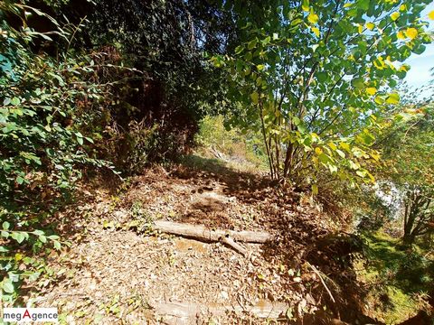 photo no. 11