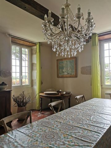 photo no. 7