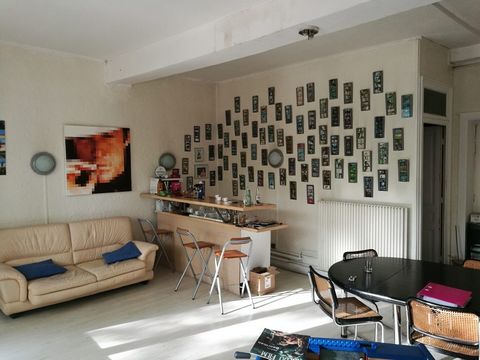 photo no. 8