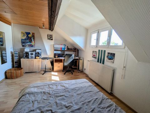 photo no. 14