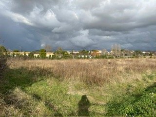 photo no. 2