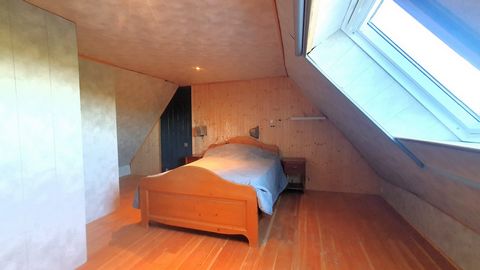 photo no. 16
