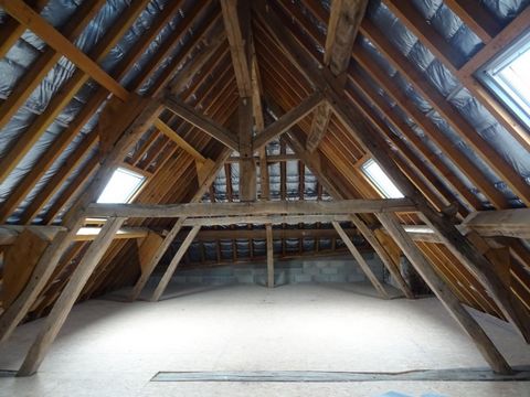 photo no. 5