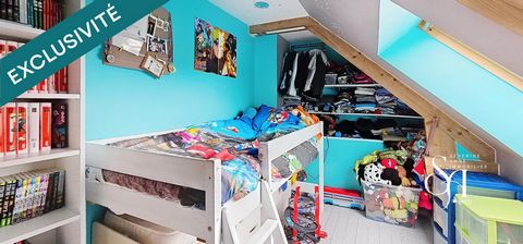 photo no. 11