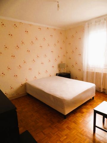 photo no. 6