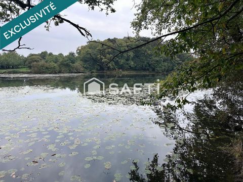 Propriété de chasse,maison,foret,étang sur 8.5 ha